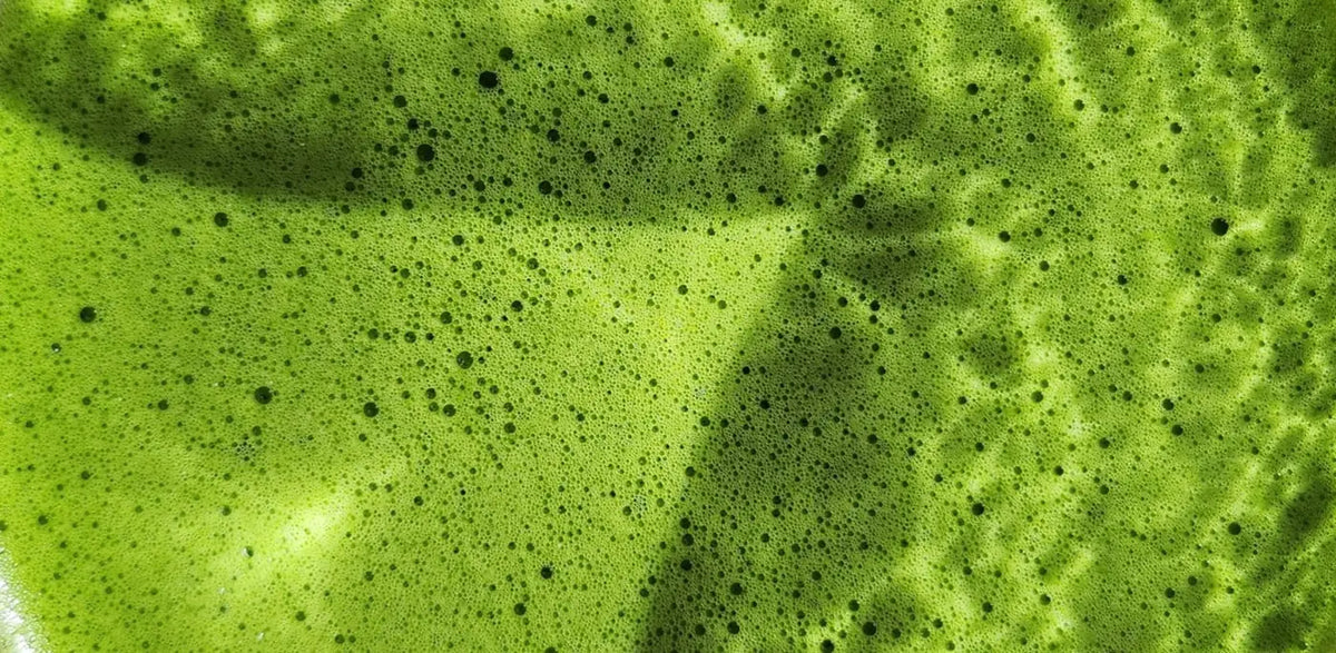 Sélection de matchas japonais et accessoires Fuwa Matcha