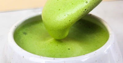 Mousse de matcha onctueuse et d'un vert vif versée dans un bol blanc, signature d'un matcha latte parfait