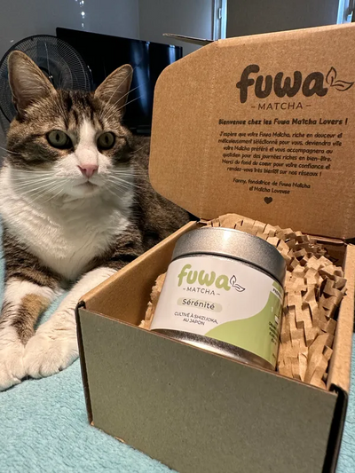 Avis client Tiphany H.