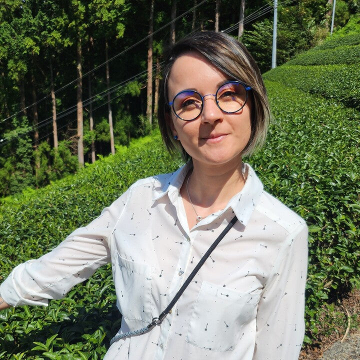 Champ de matcha cultivé sans pesticides