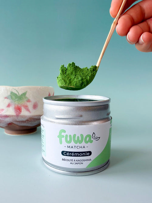 Chashaku en bambou chargé d'une dose de matcha Cérémonie Fuwa Matcha au-dessus de la boîte ouverte, bol chawan en arrière-plan