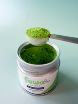 Dose de matcha Cérémonie Fuwa Matcha dans la cuillère doseuse en inox, au-dessus de la boîte ouverte