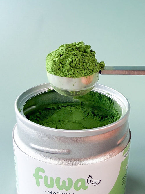 Cuillère doseuse en inox débordant de matcha Cérémonie Fuwa Matcha, au-dessus de la boîte ouverte
